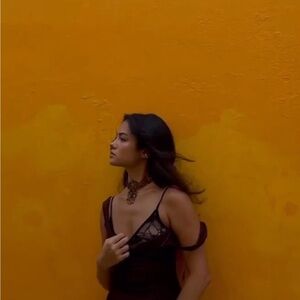 Tiger Mist NWT Dark Brown Lace Detail Dress